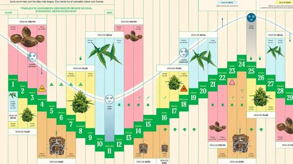 Calendario biodinámico de cultivo Junio 2025 CÁÑAMO 330