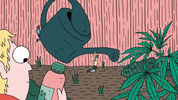Alimentar las plantas para lograr la mejor cosecha: diez trucos para abonar como un experto 