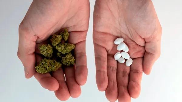 Ocho de cada diez personas usuarias sustituyen fármacos por cannabis