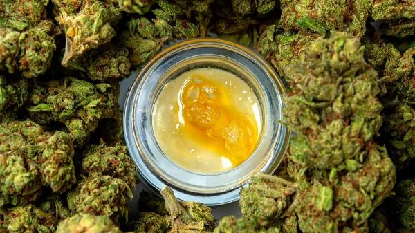 Concentrados de cannabis: sus etiquetados son más confiables