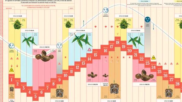 Calendario biodinamico Agosto 2025 CÁÑAMO 331