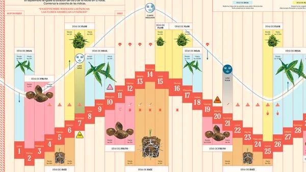 Calendario biodinámico y lunario de septiembre 2025. Cáñamo 332