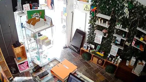 Allanamiento y persecución excesiva a la tienda de CBD La Otra María