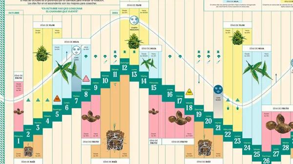 Calendario biodinámico Octubre 2025 Cáñamo 333