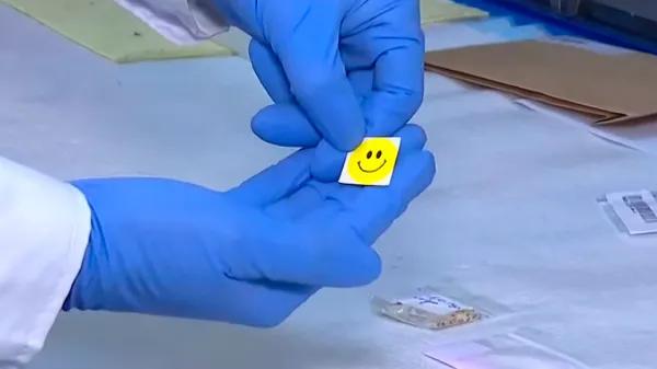 Alerta por stickers con drogas en Chile revela vacíos en comunicación de riesgos