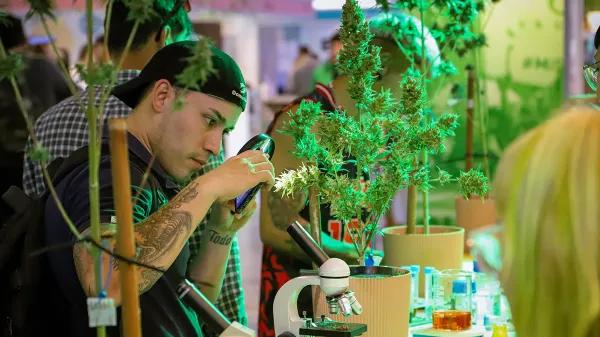 Expo Cannabis Argentina 2025