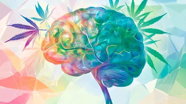 Microdosis de THC-CBD mejora la cognición en Alzheimer