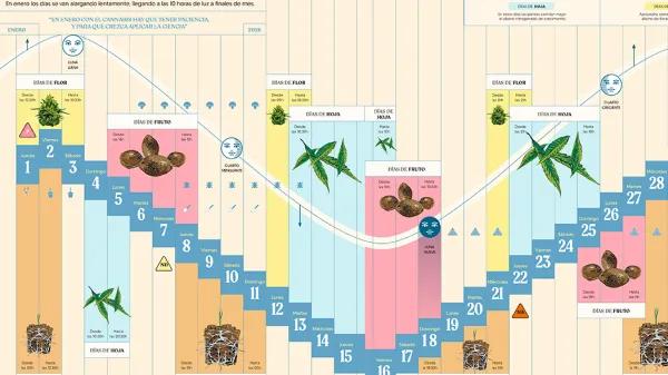 Calendario biodinámico Enero 2026 Cáñamo 335