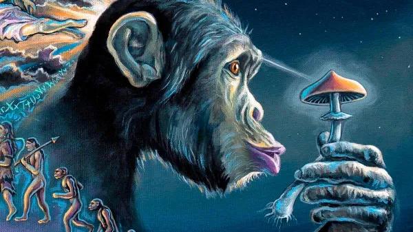 Neurociencia y epigenética reabren el debate sobre la teoría del mono drogado