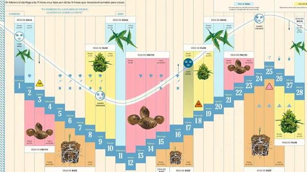 Calendario biodinámico Febrero 2026 - Cáñamo 335