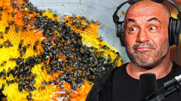 La miel de Nepal se viraliza por sus efectos y reabre debate sanitario