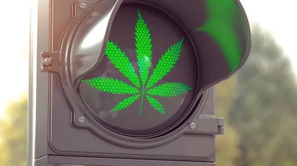 Legalización alemana no ha generado cambios en la conducción vehicular