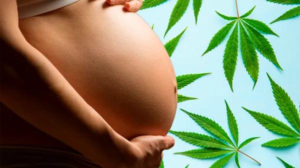 Exposición prenatal al cannabis