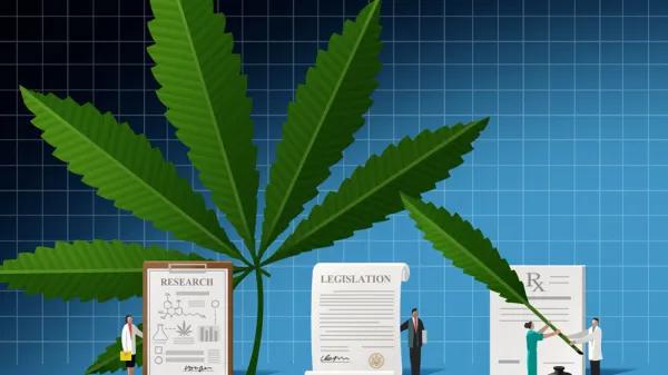 Sesgo de giro inverso: Cuando los datos favorecen al cannabis, pero la conclusión dice “no”