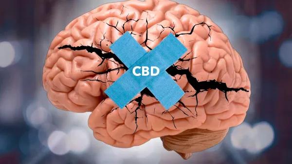 El potencial del CBD después de un traumatismo en la cabeza