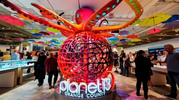 Turismo cannábico: cuando la experiencia no garantiza rentabilidad