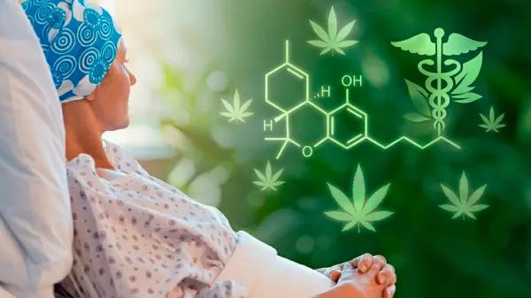 Cáncer y cannabis medicinal: un sondeo reabre el debate británico