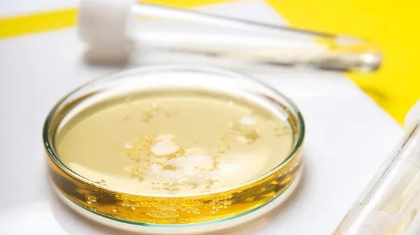 ¿Cerveza sin resaca?: la revolución de las nuevas bebidas funcionales 