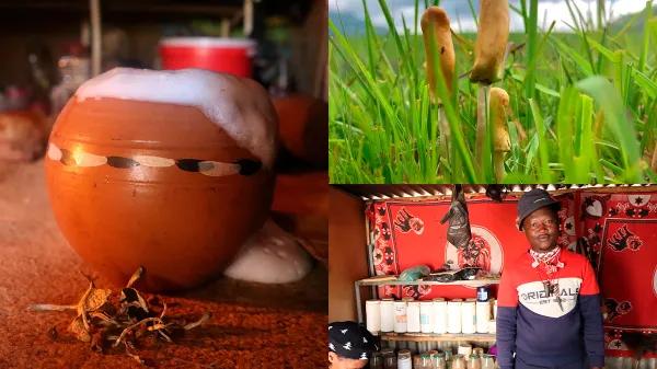 Lesoto documenta una tradición propia de psilocibina