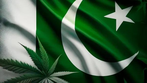 Pakistán destina fondos a regular el cannabis medicinal