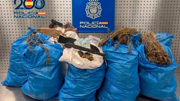 Desmantelan una plantación indoor con 100 kilos de marihuana