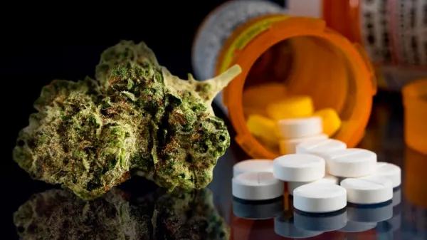Cannabis regulado y opioides: surge nueva evidencia