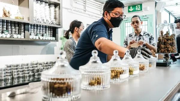 Tailandia fija suspensiones de hasta 90 días para tiendas de cannabis
