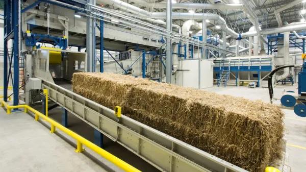 KwaZulu-Natal reclama centros para procesar cáñamo