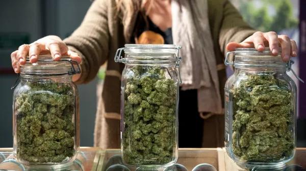 Alemania suma 77 asociaciones de cannabis desde marzo