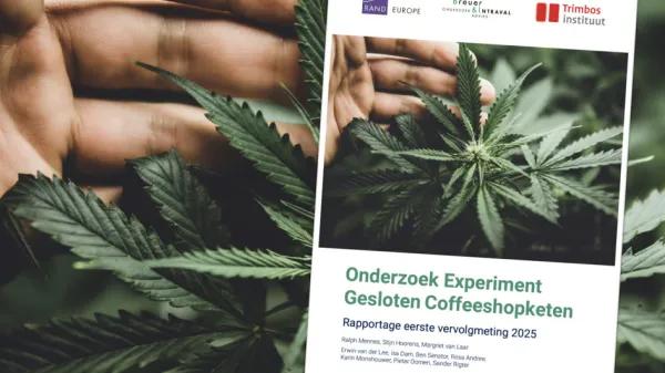 Surgen los primeros datos del cannabis regulado en Países Bajos