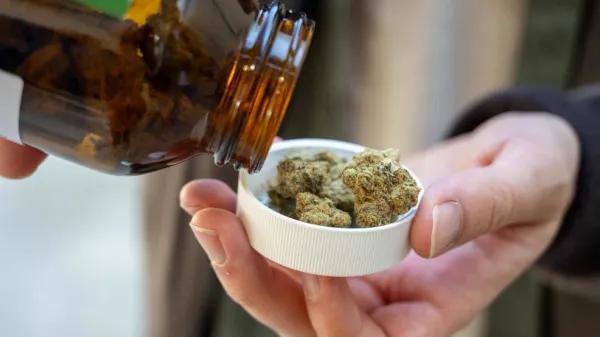 Alemania: un tribunal niega mantener el reembolso de flor medicinal