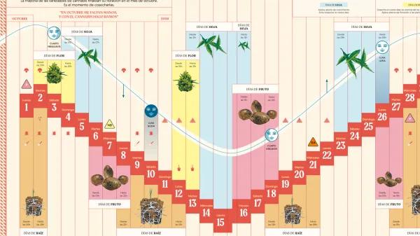Calendario biodinámico lunario de octubre 2026 - Cáñamo 341