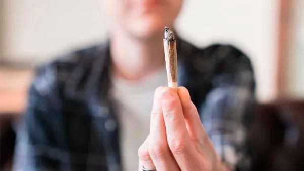 La IARC cierra convocatoria para evaluar el cannabis fumado