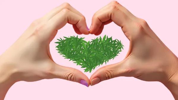 Amor y cannabis: una conexión química y emocional