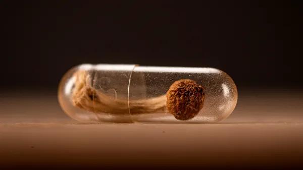 Dos ensayos fase 3 acercan la psilocibina a revisión regulatoria
