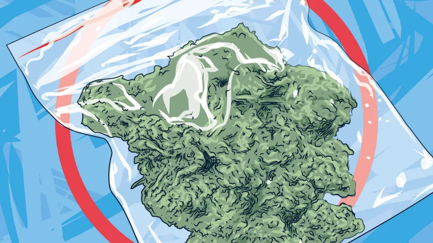 Conservación a largo plazo 