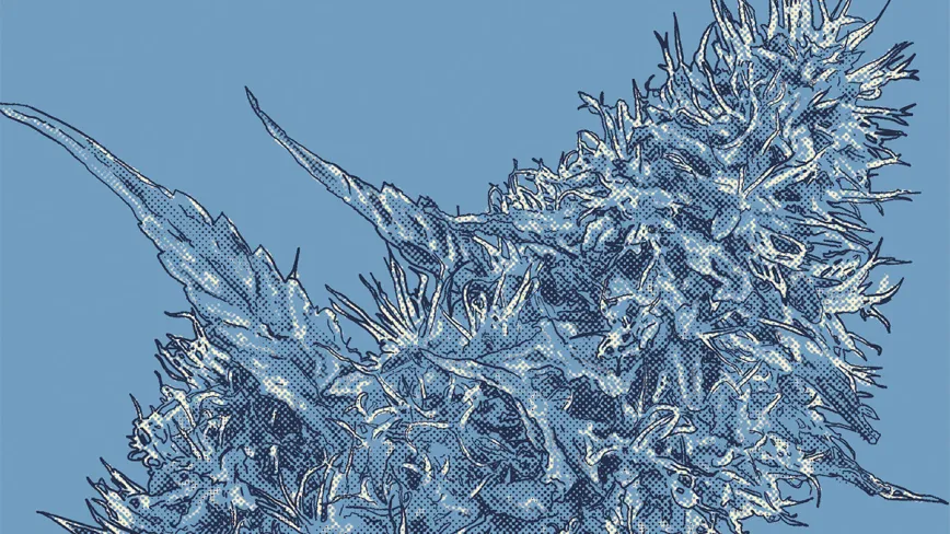 ¿Qué pasa si espero demasiado a cosechar? 