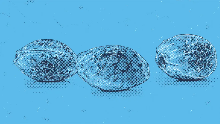 ¿Cuánto dura la floración?