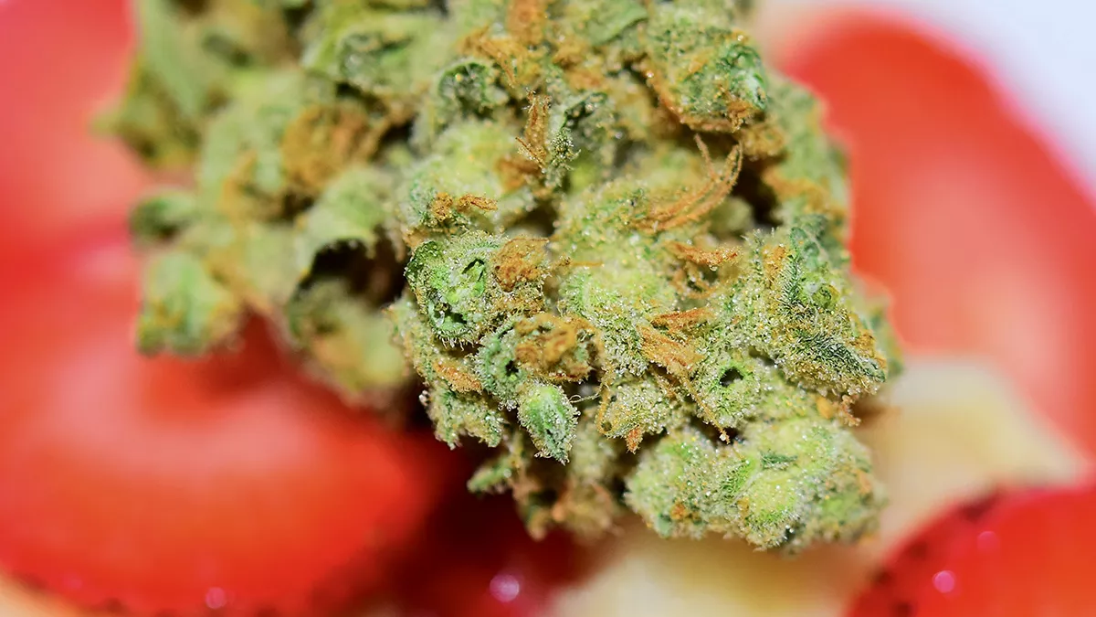 Honey Bananas