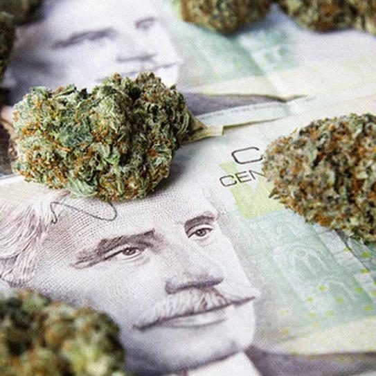 Canadá vende 100 millones de marihuana legal en el mes de febrero