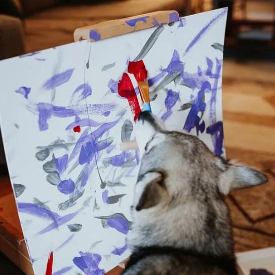 Compra un cuadro pintado por un perro y recibe marihuana gratis