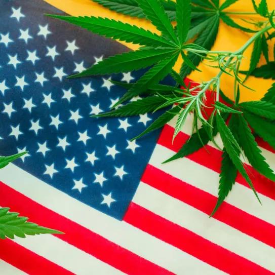 Fiscales generales en EE.UU presionan reforma del sistema de la banca y la marihuana