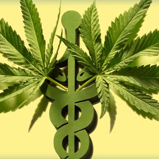 La IACM y la SCC piden a la ONU facilitar el acceso al cannabis medicinal durante la Covid-19 