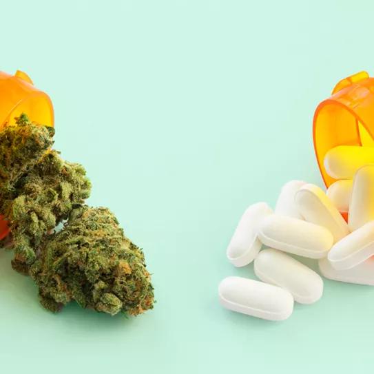 Nuevo estudio relaciona el cannabis con la reducción en uso de opioides