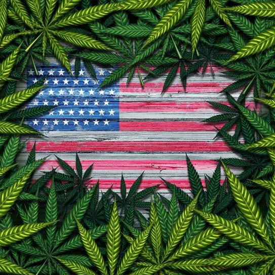 Policía de Austin ya no arrestará por posesión de marihuana