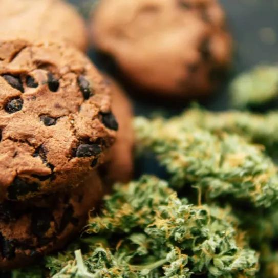 Hawái va a permitir los comestibles de comestibles medicinales