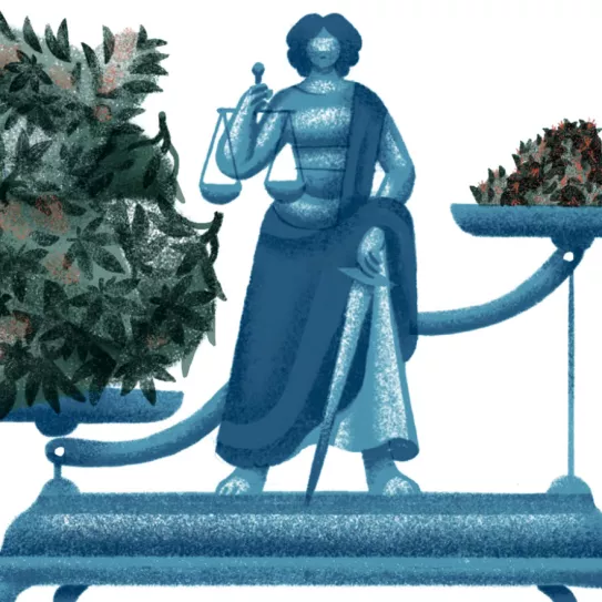 Ilustración: Justicia y marihuana