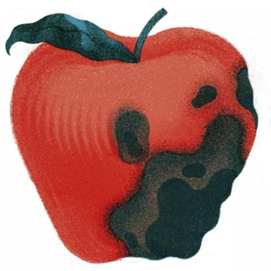 Ilustración: Manzana podrida