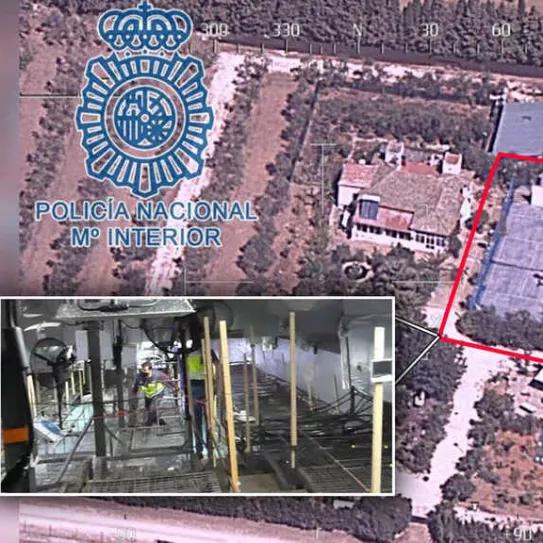 La Policía Nacional descubre un cultivo bajo unas pistas de tenis en una finca de Morón de la Frontera