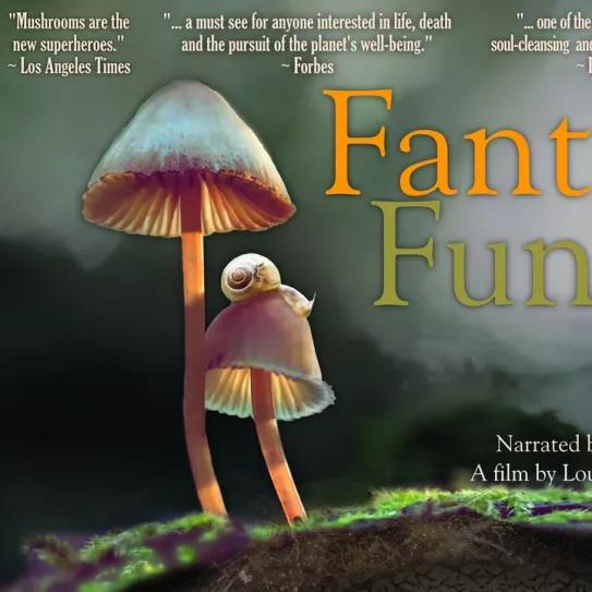 Fantastic Fungi